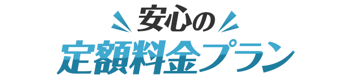 安心の定額料金プラン