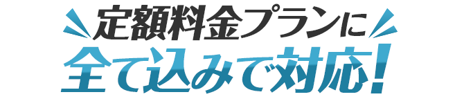 定額料金プランに全て込みで対応